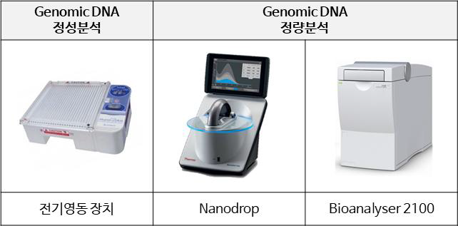 식중독 균주 gDNA 정성 및 정량분석 장비