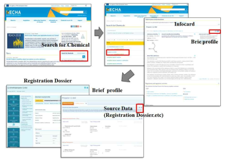 ECHA 사이트 구성과 물질 정보 검색