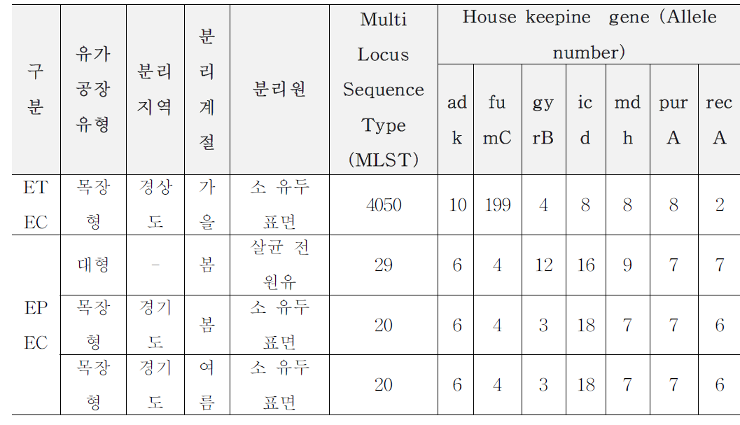 분리된 병원성대장균 MLST 분석 결과