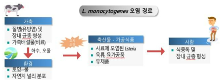 리스테리아의 감염경로 (이은우, 2018)