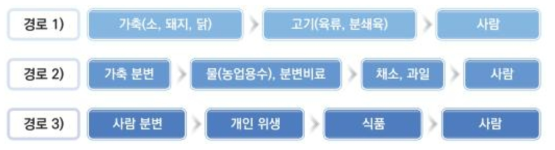 대장균의 오염경로 (식품의약품안전처 집단급식소 병원성대장균 저감화 매뉴얼, 2017)