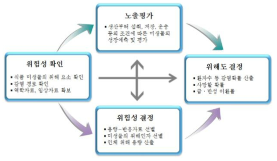 미생물 위해평가의 일반절차 (식품의약품안전평가원)