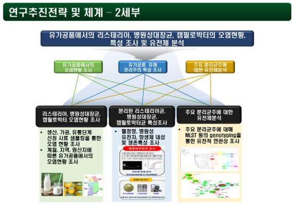 2세부 연구개발 추진체계