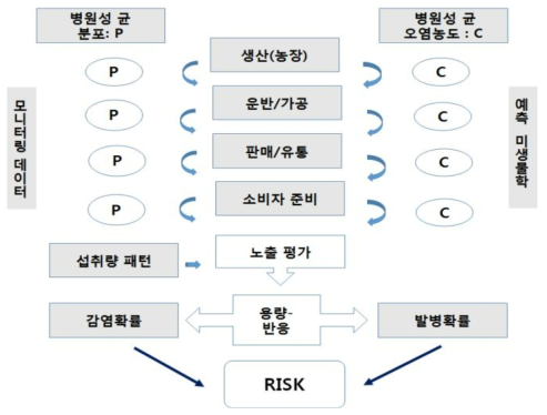 노출평가를 위한 Farm To Fork 모듈의 체제 (식품의약품안전평가원)