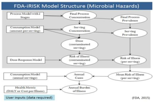 iRISK model structure (FDA, 2015)