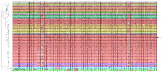 2515개 core gene을 이용한 cgMLST 분석 과정