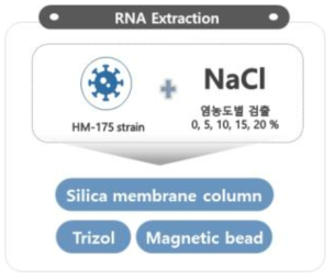 염 농도에 따른 NGS 적정 RNA extraction 방법 탐색 실험 개요
