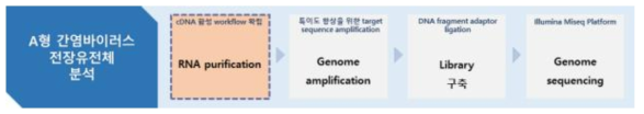 Ribosomal RNA 제거 및 cDNA 합성