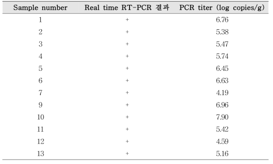 인체 유래물(혈청) 시료 real time PCR 결과