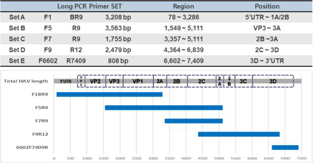 개발 완료된 long template PCR