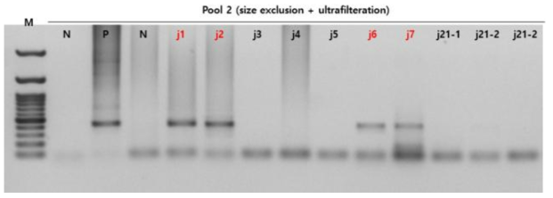 조개 젓갈에 대한 set A_pool 1 multiplex PCR 결과