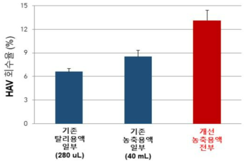 김치에서 A형 간염바이러스 회수율
