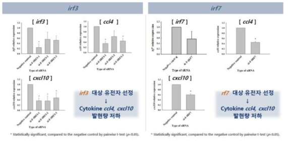 FRhK-4 세포 siRNA 도입에 따른 유전자 및 유전자 관련 cytokine 발현량 분석