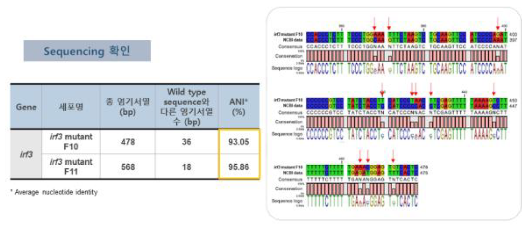 FRhk-4 cell sequencing을 통한 mutation 확인 결과
