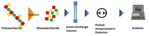 다당류를 가수분해하고 단당류 조성을 HPAEC-PAD로 분석