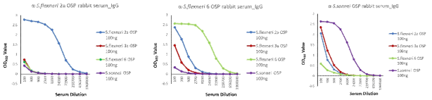 토끼 항혈청의 각 해당 O-SP 항원에 대한 특이성 평가