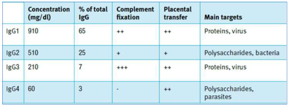 IgG subclass 별 complement fixation, placenta transfer 효율 비교