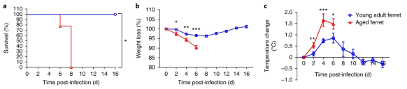 SFTSV에 감염된 고령의 ferret동물에서의 생존율과 체중/체온변화 수치