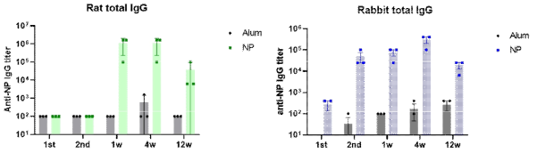 NP에 면역된 랫드와 토끼 혈청에서 분석된 총 항체가