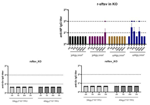 방사선 조사가 완료된 SFTSV를 면역 후, 총항체가 분석