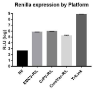 다양한 RNA 백신 플랫폼의 단백질 발현 비교