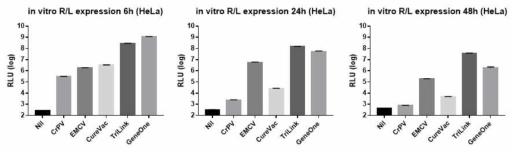 RNA 백신 플랫폼 별 시간에 따른 단백질 발현 비교