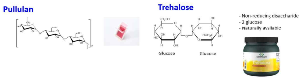 pullulan과 trehalose의 분자구조와 사용처