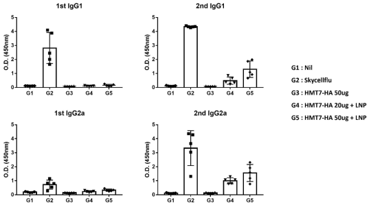 ELISA를 통한 항원 특이적인 항체 측정 (IgG1, IgG2a)