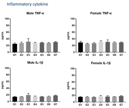 염증성 cytokine 측정 (TNF-α, IL-1β)