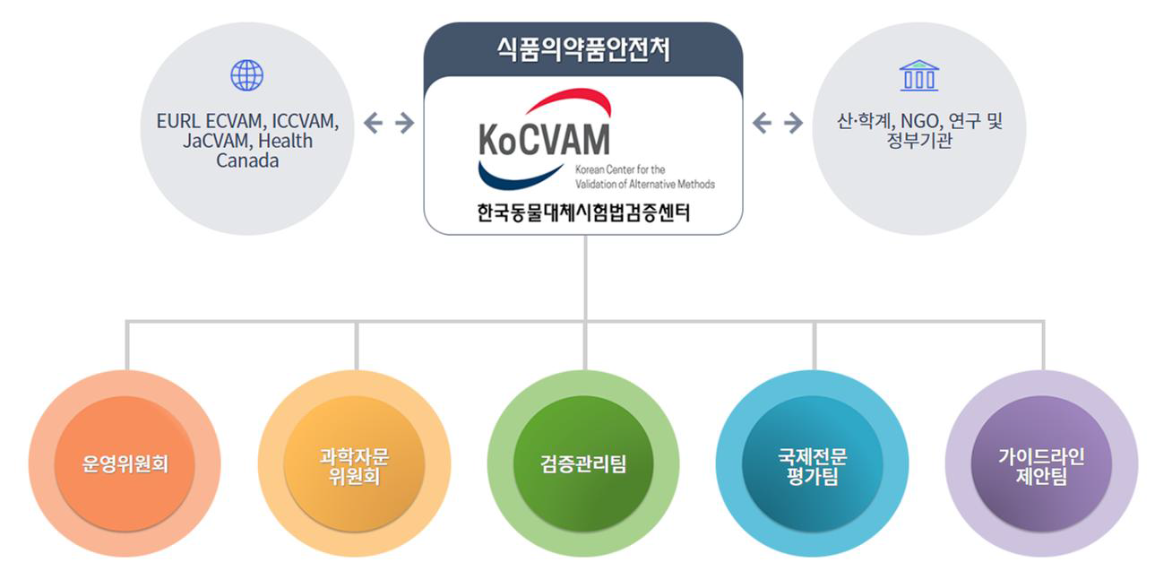 한국동물대체시험법검증센터(KoCVAM) 조직체계