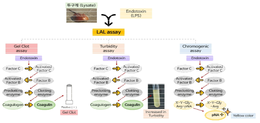 LAL시험법 흐름도