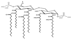 대장균(Escherichia coli)의 지질 A 구조