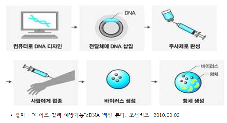 DNA 백신 작용 기전