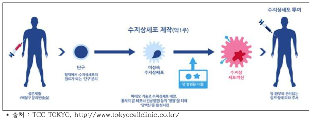 수지상세포요법 소개