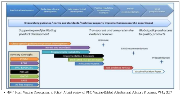 WHO의 백신개발부터 정책에 이르는 WHO 주요 활동
