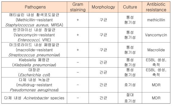 국내외 문제가 되고 있는 항생제 내성균의 주요 특징