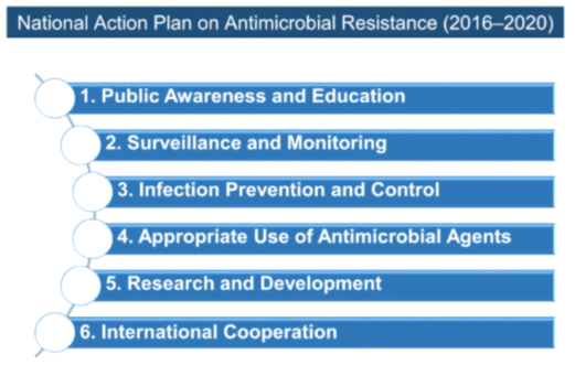 National Action Plan on Antimicrobial Resistance, Japan