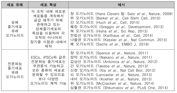 기개발된 오가노이드의 종류