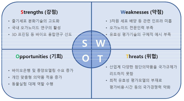 SWOT 분석결과