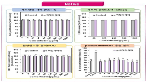 Native α-아밀라아제의 세포독성시험 결과