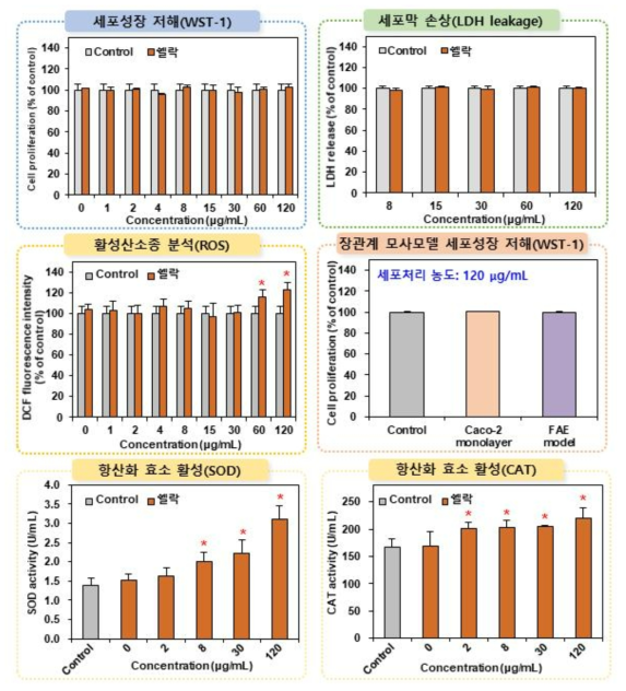 쉘락의 세포독성시험 결과