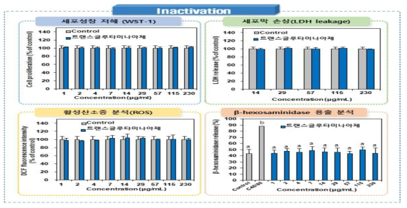 Inactivation 트랜스글루타미나아제의 세포독성시험 결과