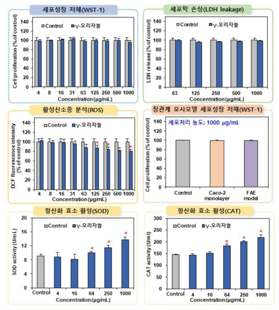 γ-오리자놀의 세포독성시험 결과