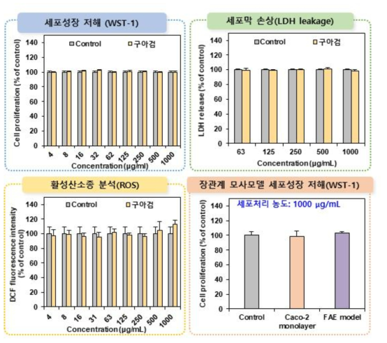 구아검의 세포독성시험 결과