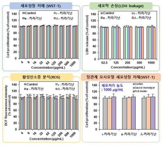 카라기난의 세포독성시험 결과