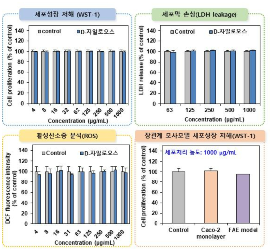 D-자일로오스의 세포독성시험 결과