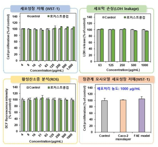 로커스트콩검의 세포독성시험 결과