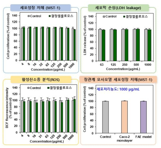 결정셀룰로오스의 세포독성시험 결과