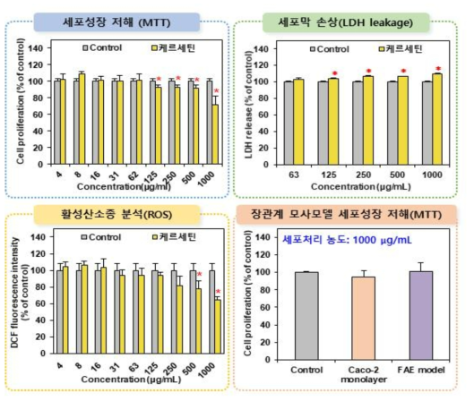 케르세틴의 세포독성시험 결과