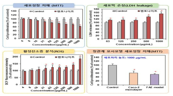 벤토나이트의 세포독성시험 결과